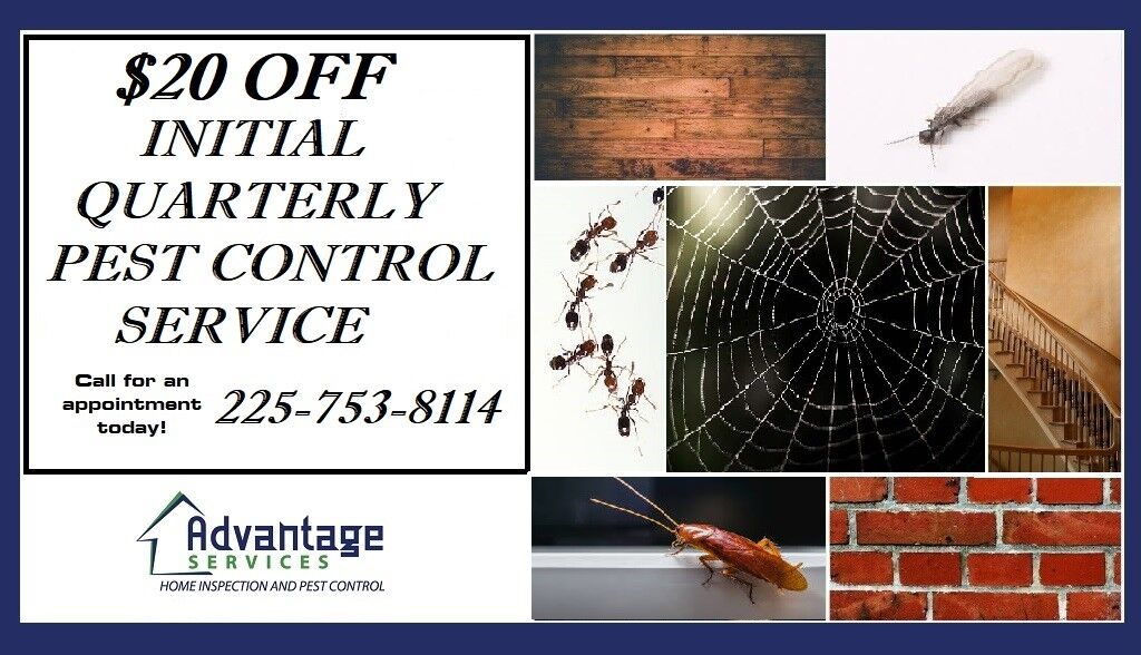 Home Advantage Pest Services